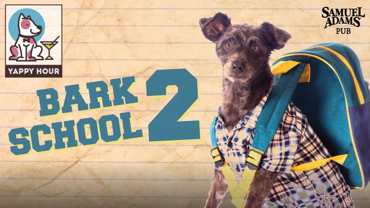 Bark 2 School: Yappy Hour Bark 2 School: Yappy Hour