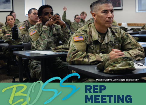 BOSS Rep Meeting
