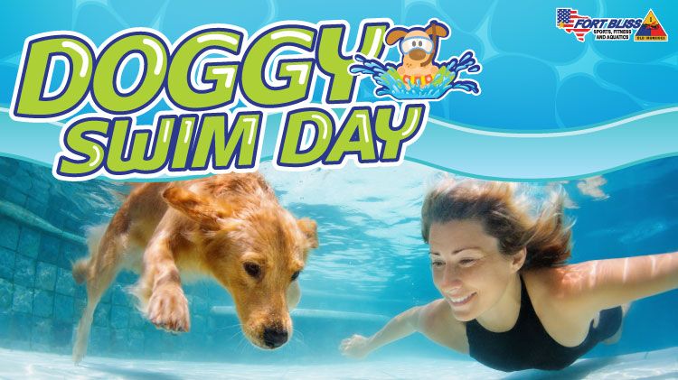 Aquatics: Doggy Swim Day 